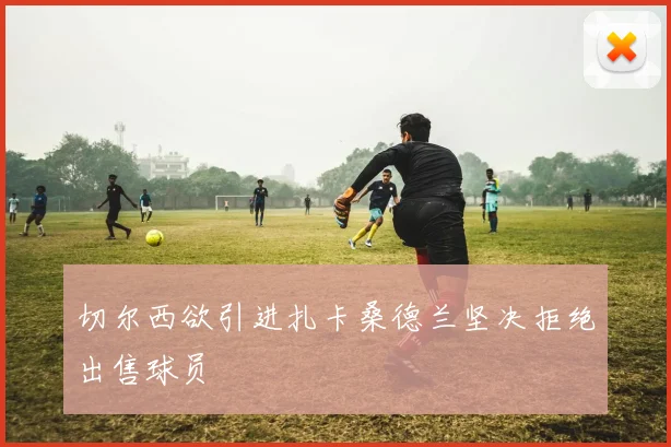 切尔西欲引进扎卡桑德兰坚决拒绝出售球员