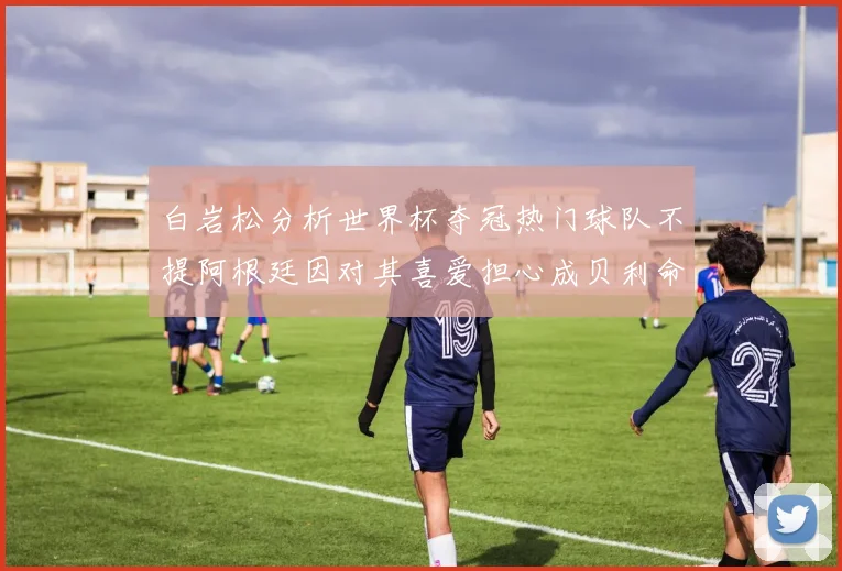 白岩松分析世界杯夺冠热门球队不提阿根廷因对其喜爱担心成贝利命运